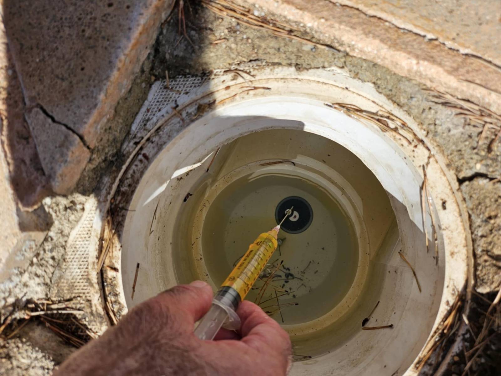 contrôle des réseaux skimmer après obturation