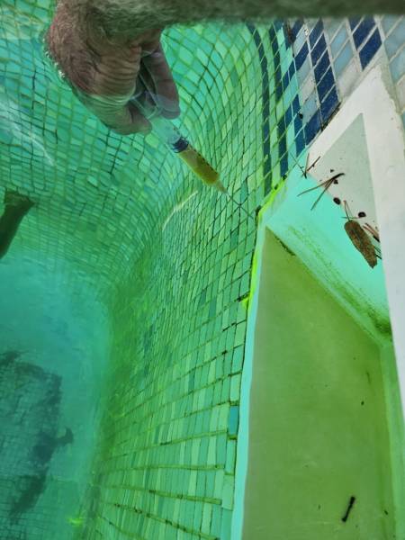 fuite détectés à l'angle du boitier skimmer