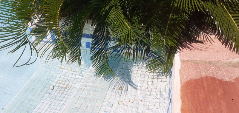 Détecter une fuite sur piscine à Carqueiranne en raison d'une baisse du niveau d'eau à côté de Toulon Var