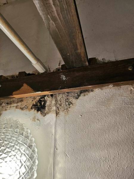 infiltration en plafond