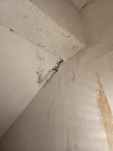 infiltration d'eau fuite 