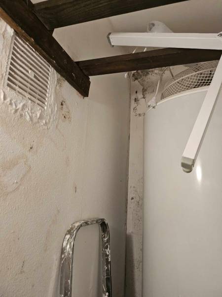 dégât en plafond humidité