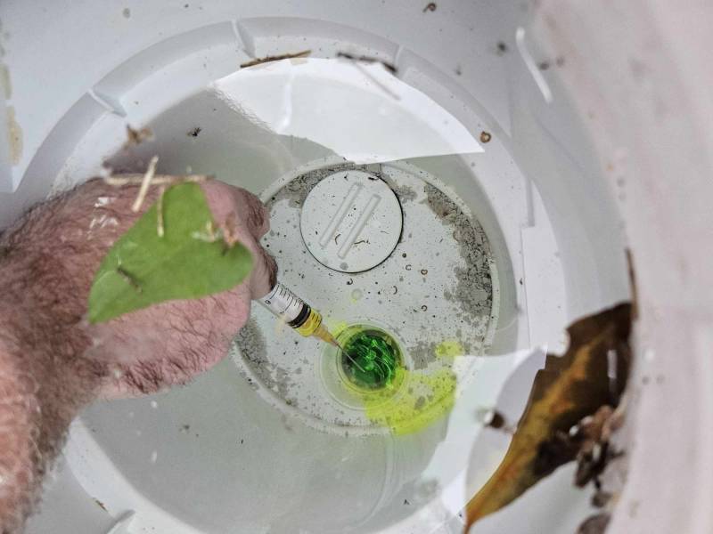 test de colorant sur les skimmers