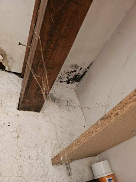 dégât des eaux en plafond